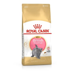Royal Canin British Shorthair Kitten - Суха храна за подрастващи британски късокосмести котенца до 12 месеца