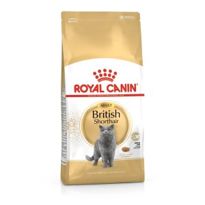 Royal Canin British Shorthair Adult - Пълноценна суха храна за британски късокосмести котки над 12 месеца