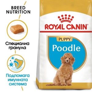 Royal Canin Poodle Puppy - Пълноценна суха храна за малки кученца до 10 месеца от порода Пудел
