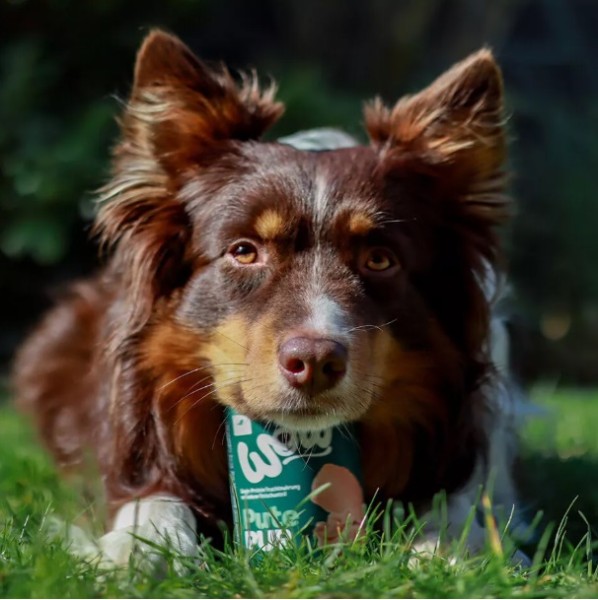 WOW Dog Pure Mono Turkey - Консерва за кучета с монопротеин пуйка